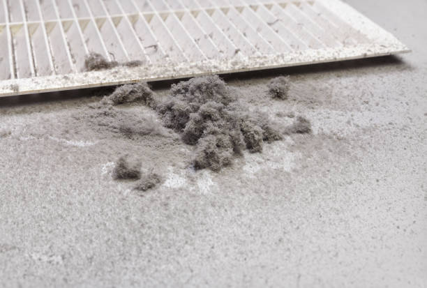 Best Emergency Air Duct Cleaning  in Magnolia, NC