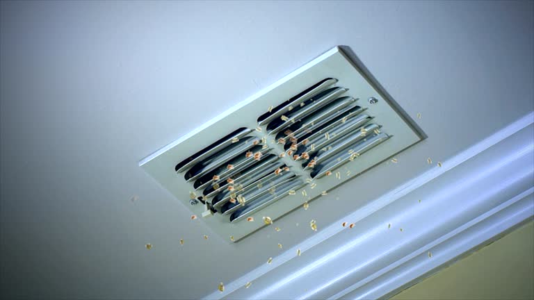 Best HVAC System Cleaning  in Magnolia, NC