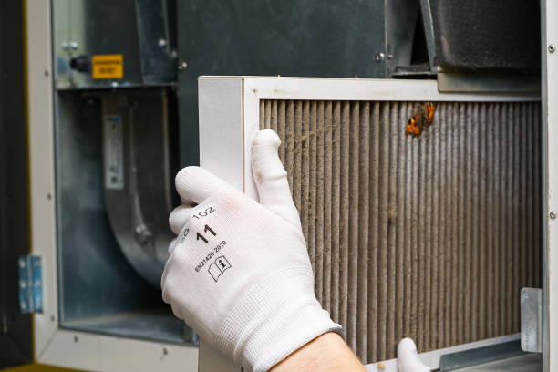 Best Affordable Duct Cleaning Services  in Magnolia, NC