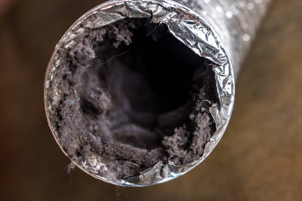 Best Affordable HVAC Duct Cleaning  in Magnolia, NC
